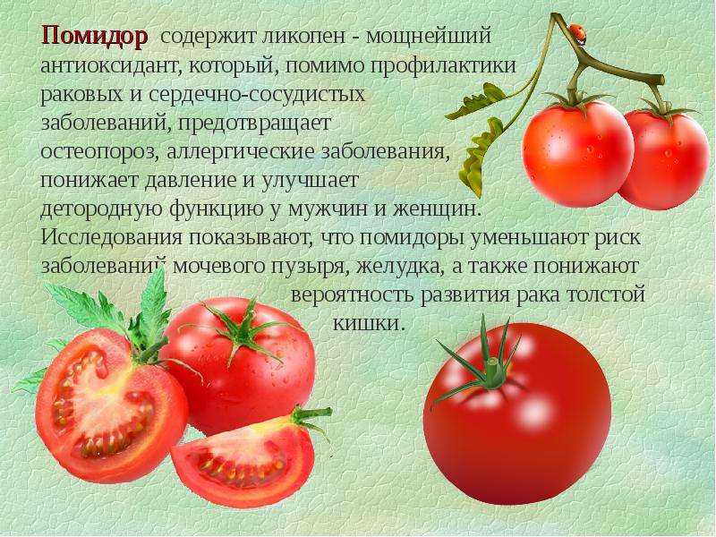 С какого возраста можно давать ребенку помидоры и огурцы в свежем виде и есть ли аллергия на томаты?