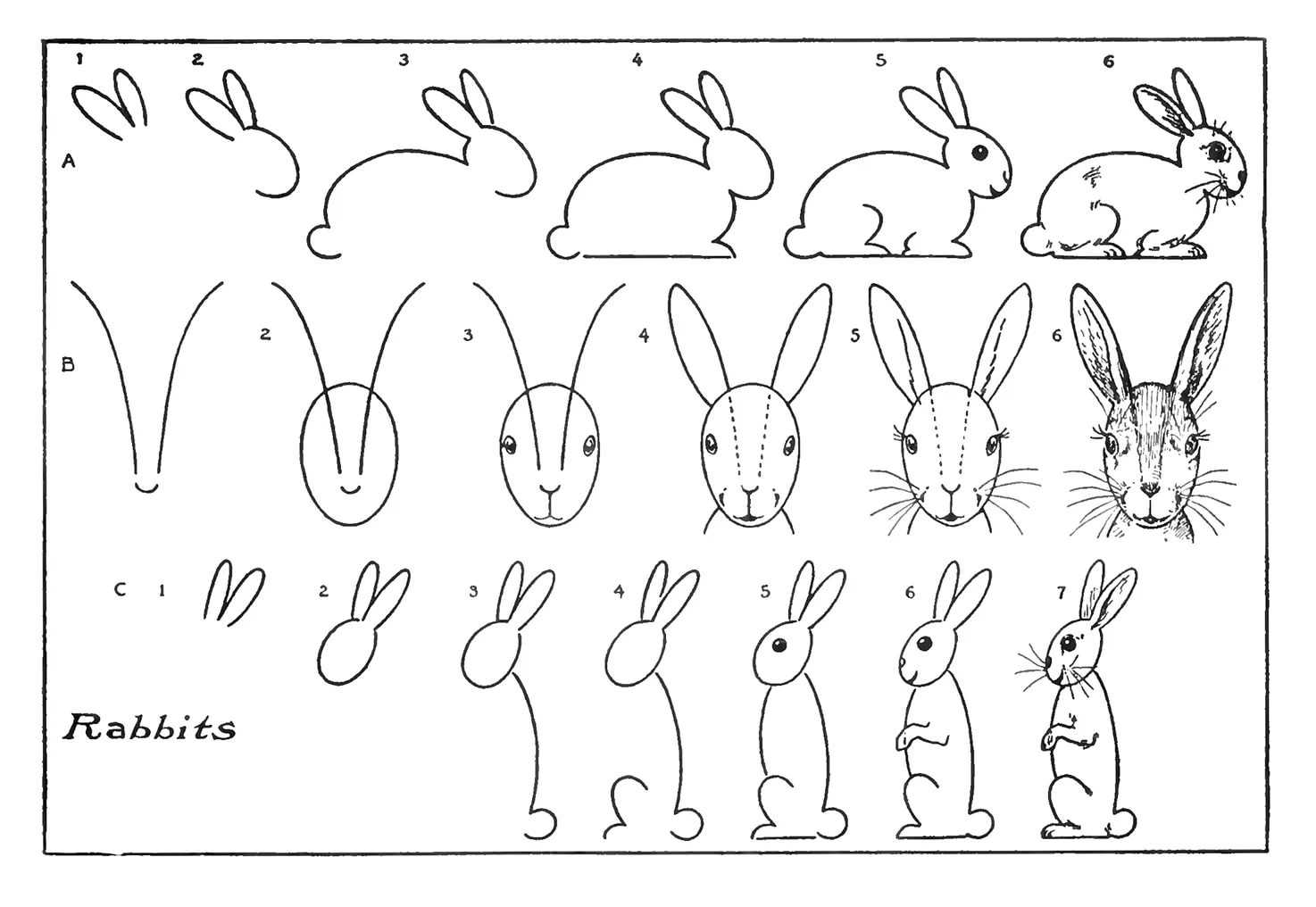 Рисунки кролика на новый год 2023: как нарисовать самостоятельно контурный и объемный, красками, по клеточкам