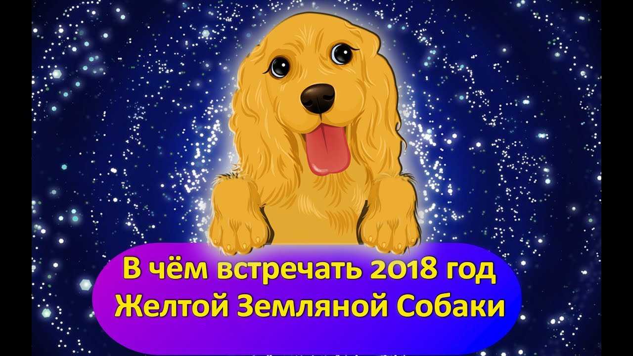 Год собаки 2018: какая порода вам подходит по знаку зодиака