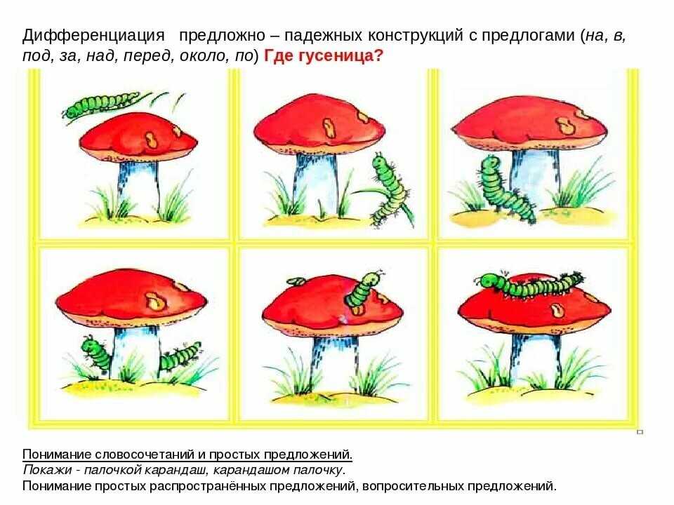 План грибы старшая группа