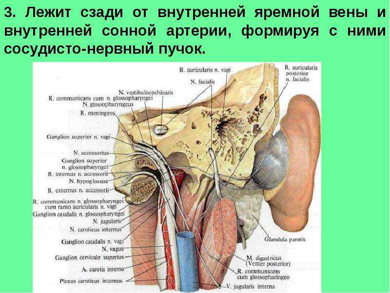 Нервное расстройство