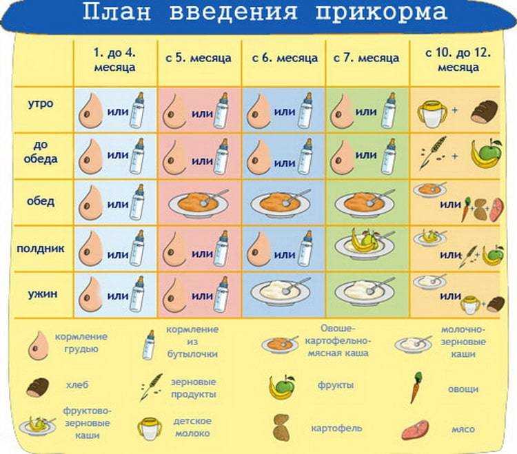 Схема введения прикорма при грудном вскармливании