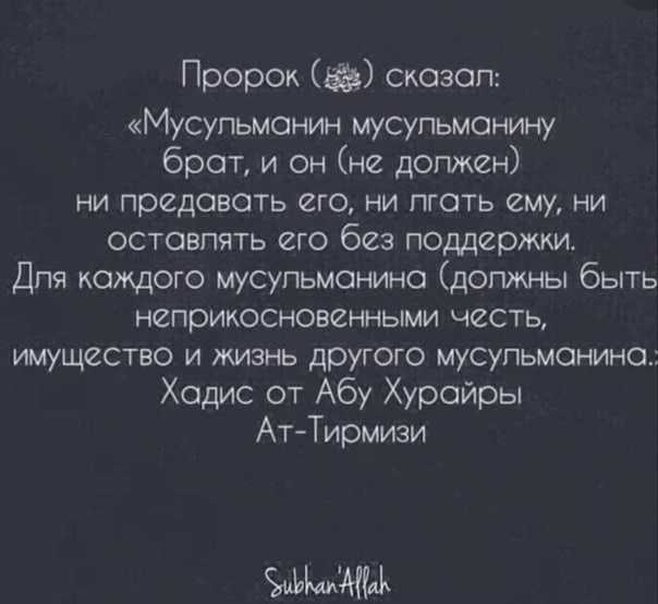 Вини себя за то что веришь а не других за то что лгут картинки