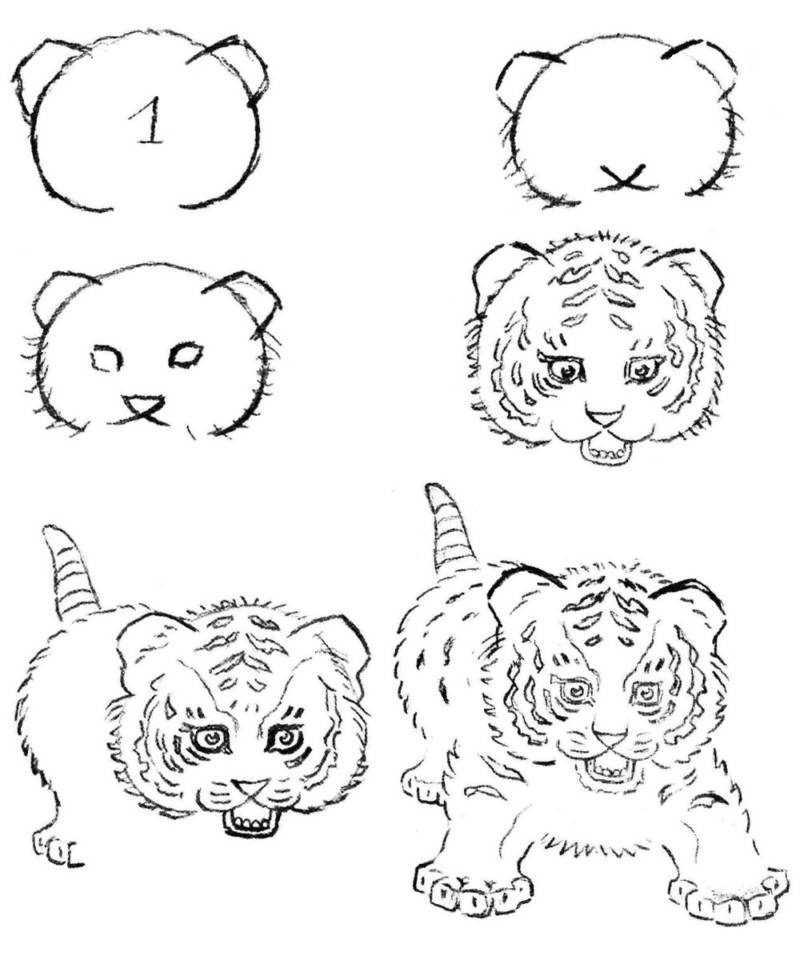 Как легко нарисовать тигра карандашом поэтапно – для детей и взрослых