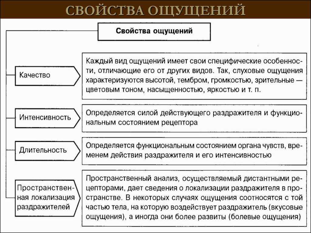 Классификация ощущений в психологии схема