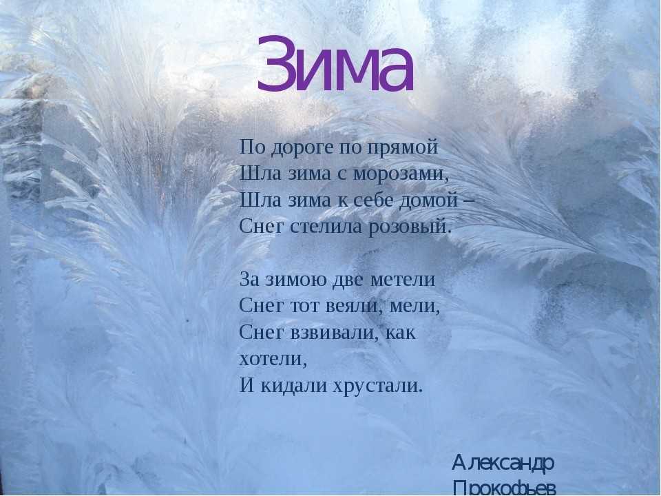 Стихи о зиме русских поэтов красивые для детей – наумёнок
