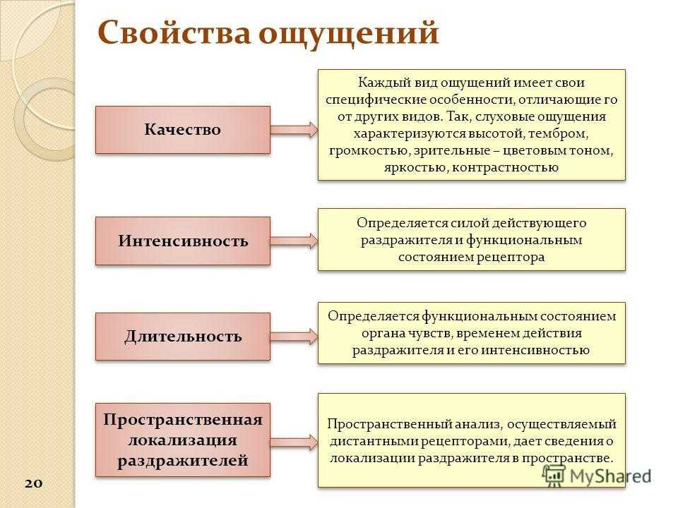 Классификация ощущений в психологии схема