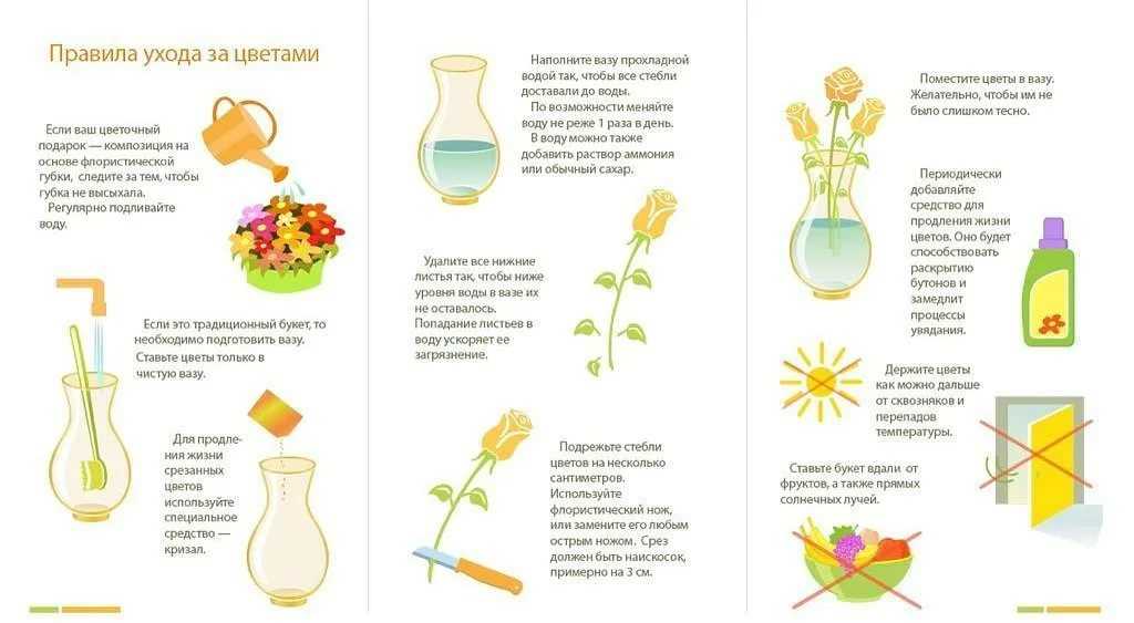 Как продлить жизнь букету: 10 полезных рекомендаций