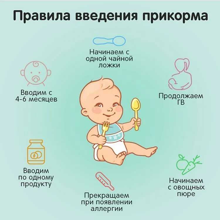 Что делать, если ребенок плохо ест прикорм?