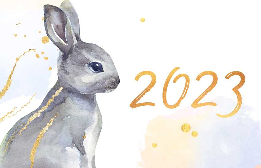 Новогодние и рождественские приметы, традиции и суеверия на 2023 год кролика (кота) — женские советы