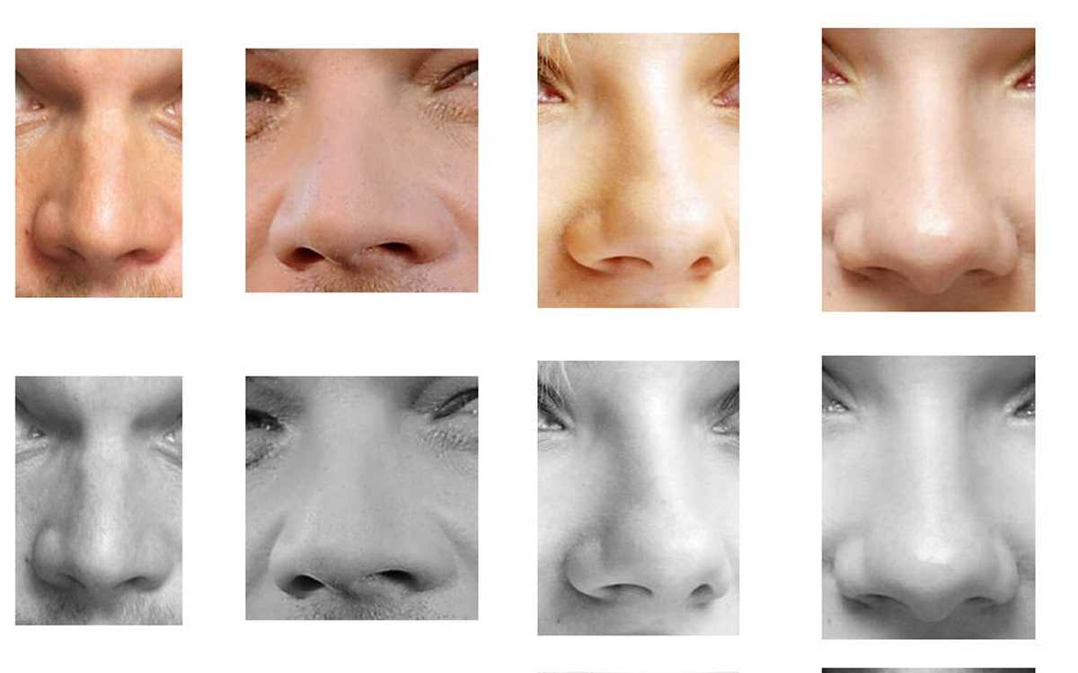 О чем говорит форма носа у женщин с картинками. форма носа и характер человека | секреты красоты и здоровья