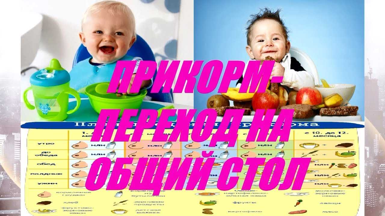 Меню ребёнка в 9 месяцев: список разрешённых продуктов и рецепты на каждый день