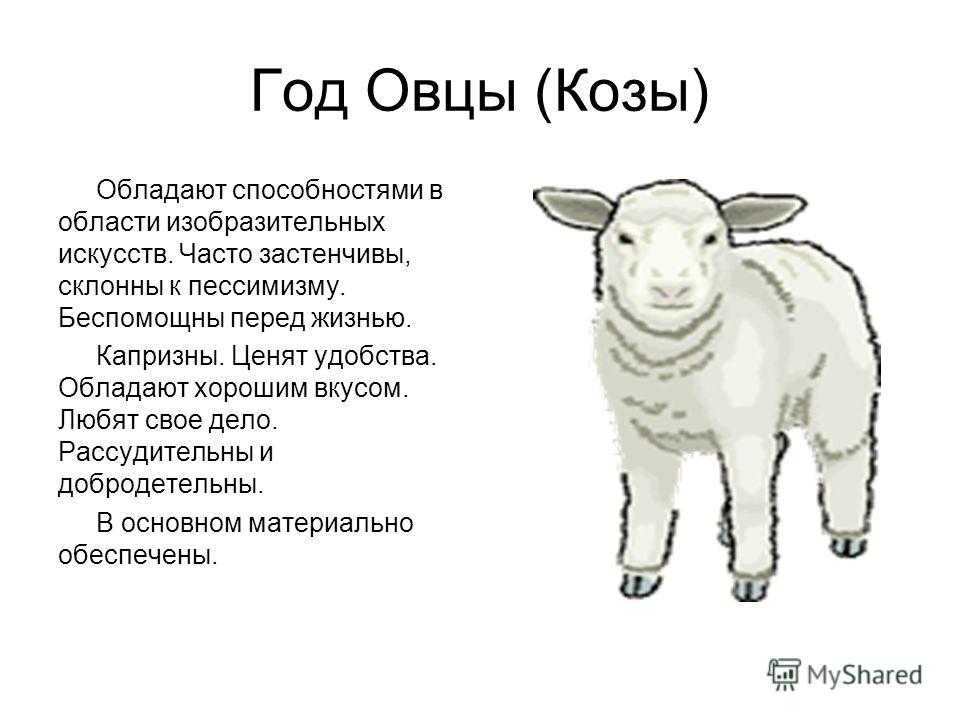 Коза годы рождения. Год козы овцы. Овца гороскоп. Год козы характеристика. Год козы гороскоп.