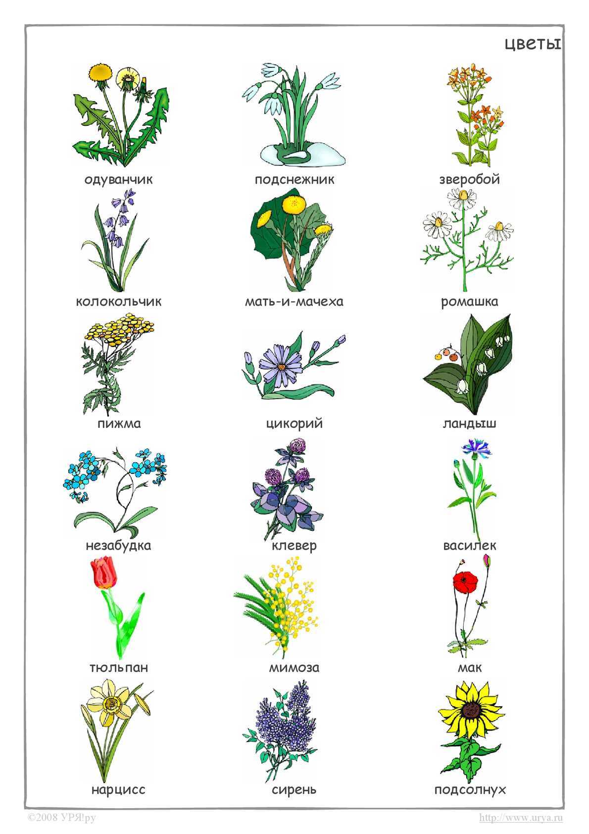 Детские стихи про растения - подборка стихов про растения для детей