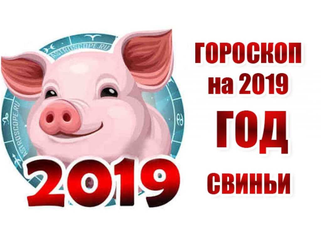 Как встречать новый 2019 год свиньи правильно ?