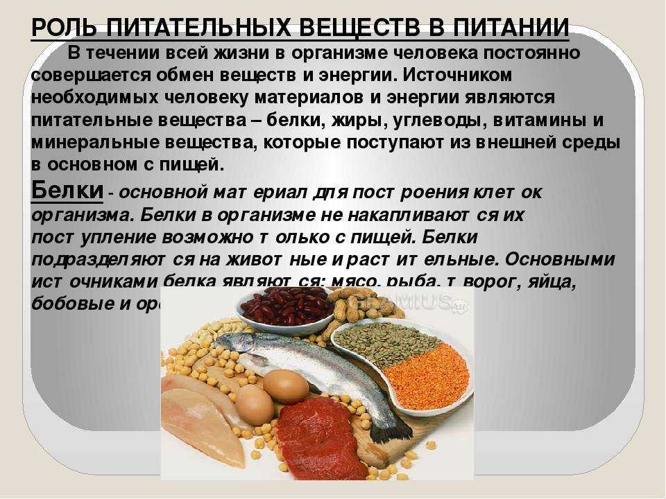 Как устроена скандинавская диета - самая простая диета в мире