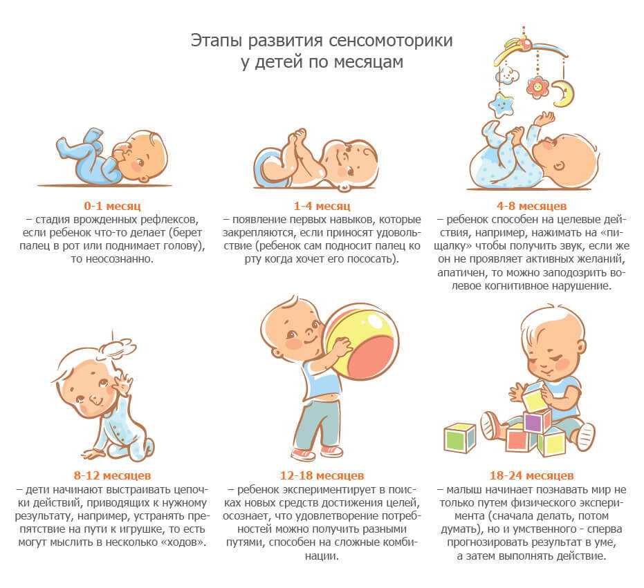 Развитие ребенка в 6 месяцев | что должен уметь ребенок в 6 месяцев: навыки, умения, развитие, игры