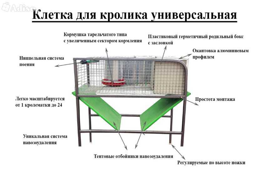 Расскажем как сделать своими руками крольчатник, разберем реальный пример работы с размерами, всеми видами материала и инструментом, работа заняла 1 месяц выполнялась один человеком