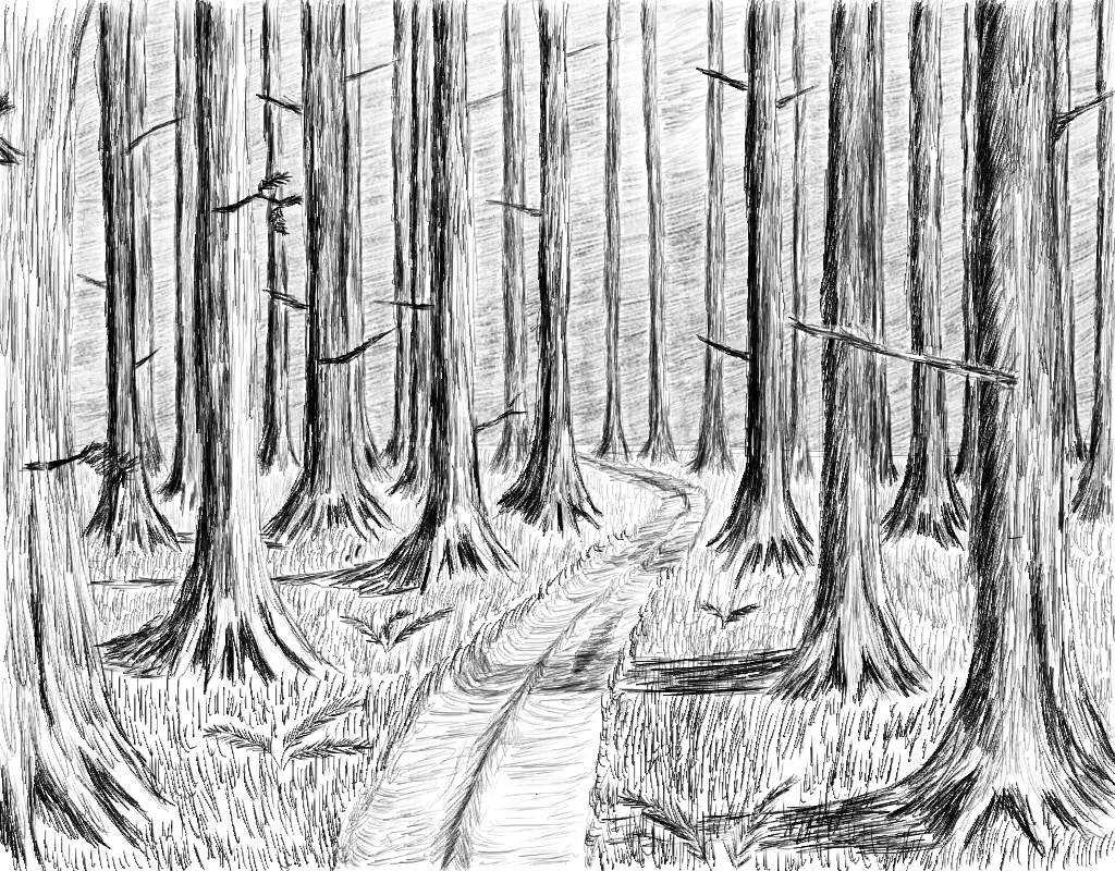 Пресечь на корню. Лес рисунок. Лес карандашом. Нарисовать лес карандашом. Лес карандашный рисунок.