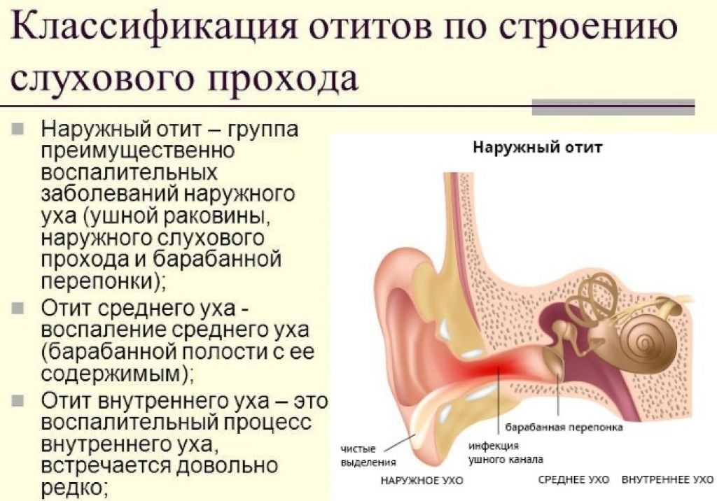Конспект оод в старшей группе «детям об алоэ» с использованием технологии опытно-исследовательской деятельности