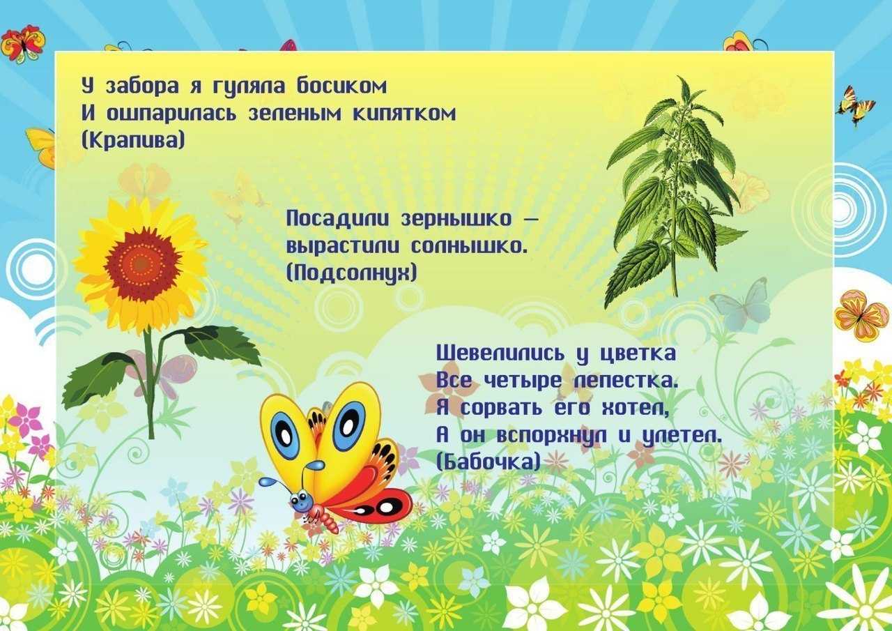 Загадки про лето с ответами – 50 самых лучших загадок – ladyvi.ru