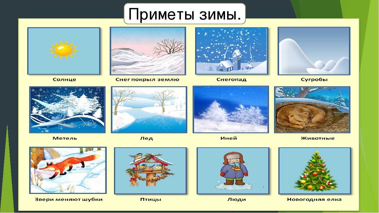 Признаки зимы карточки для детского сада