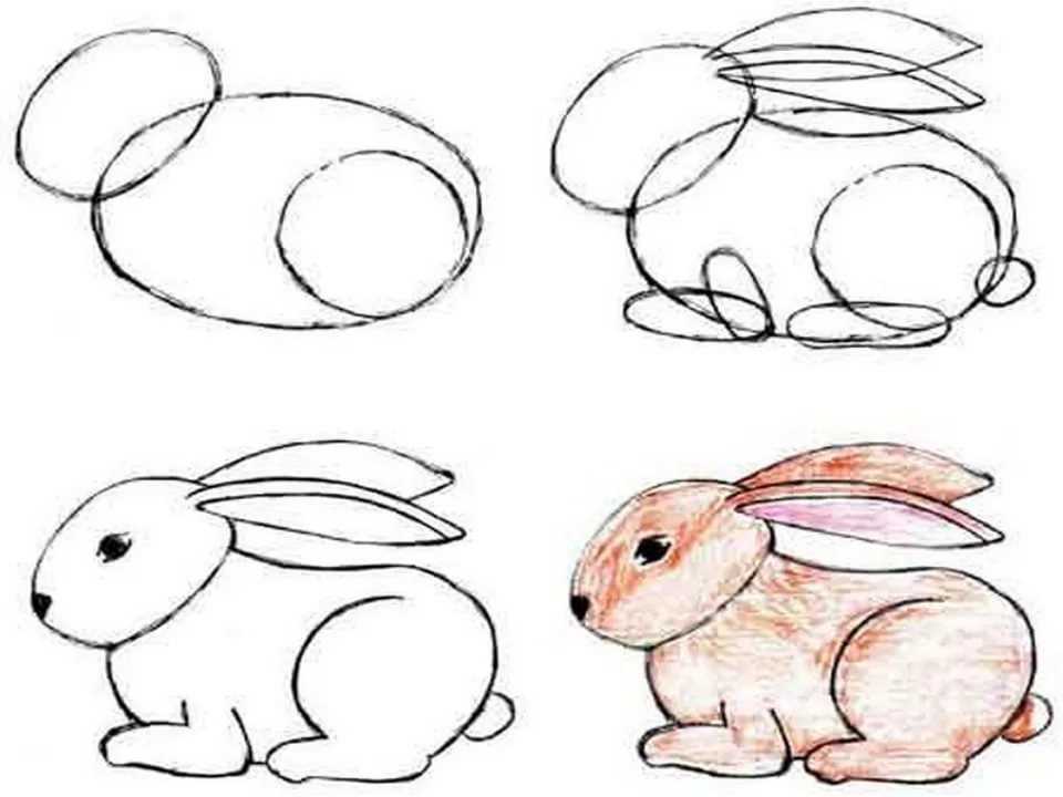 Как нарисовать кролика карандашами поэтапно