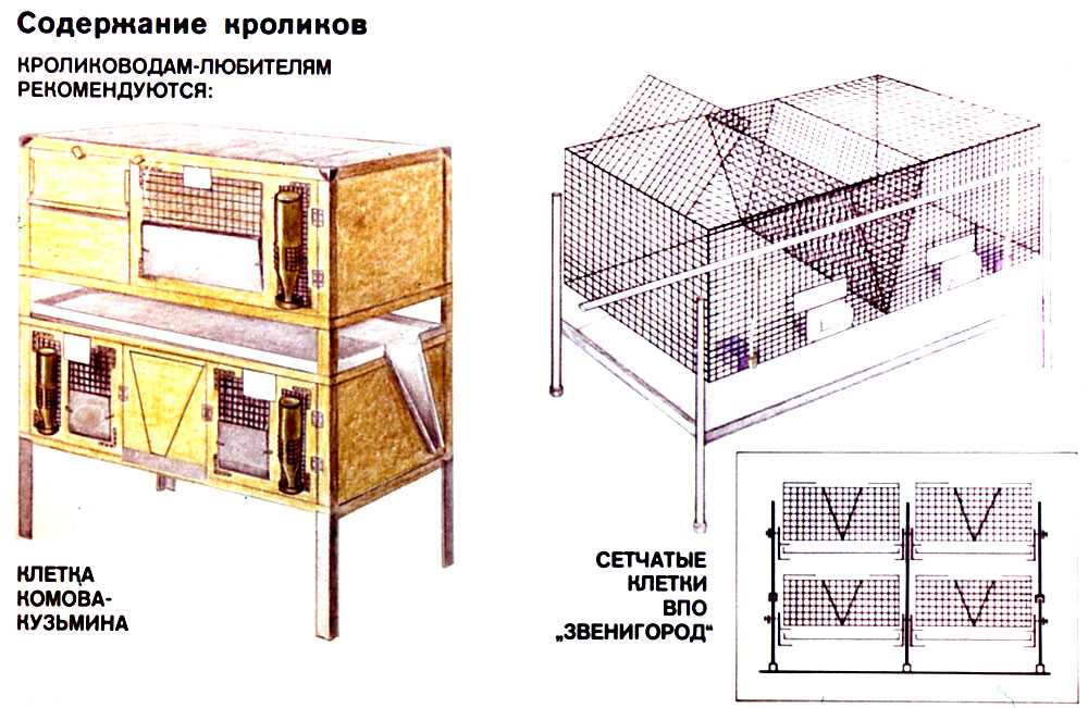 Клетки чертеж фото. Клетки для кроликов Комова Кузьмина. Постройка крольчатник для кроликов. Клетки для кроликов по методу Цветкова. Клетки для кроликов Цветкова чертежи.