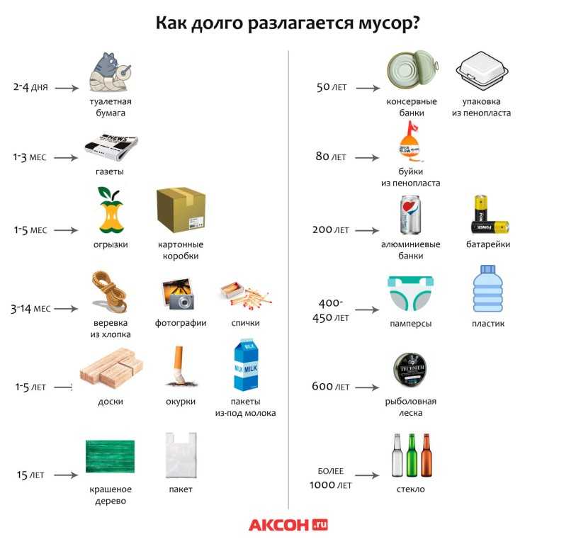 Что из перечисленного дольше всего разлагается