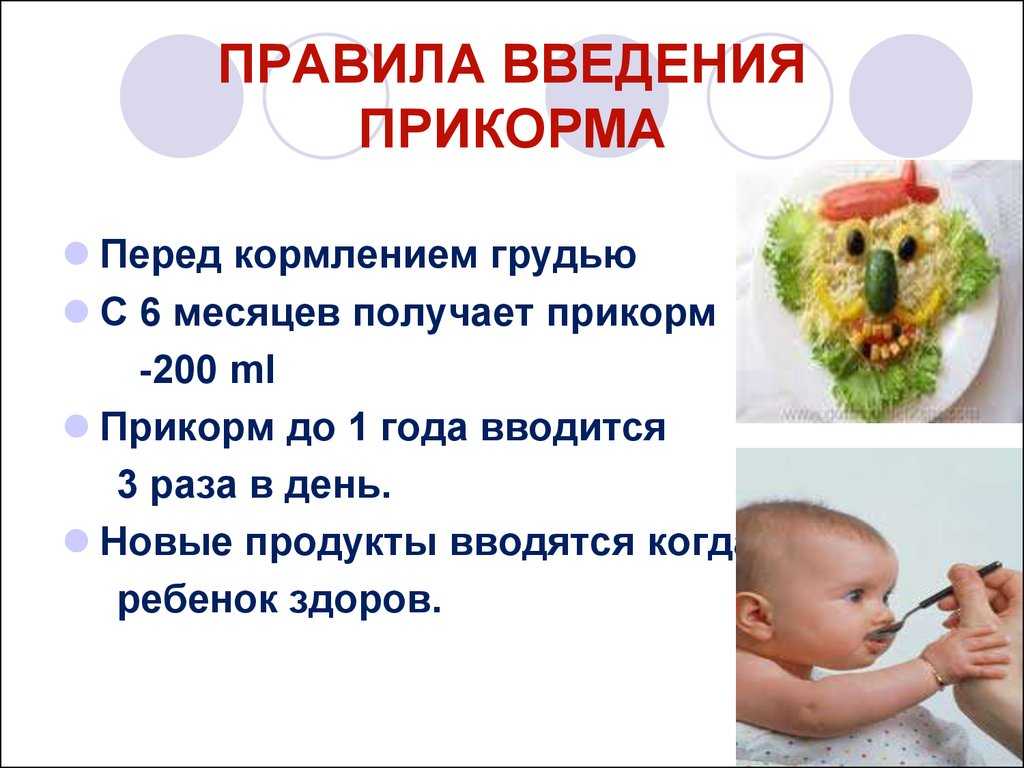 Прикорм молочными продуктами подойдет ли каша с чего начать?