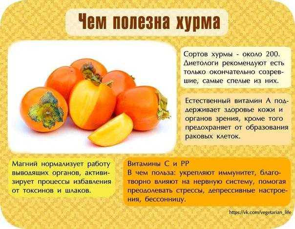 Можно ли хурму при грудном вскармливании: советы кормящей маме