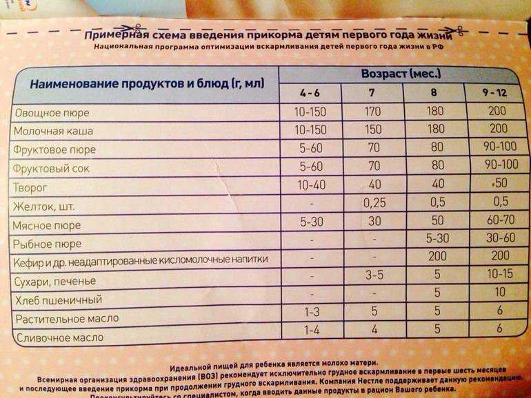 Лучшие пюре для первого прикорма