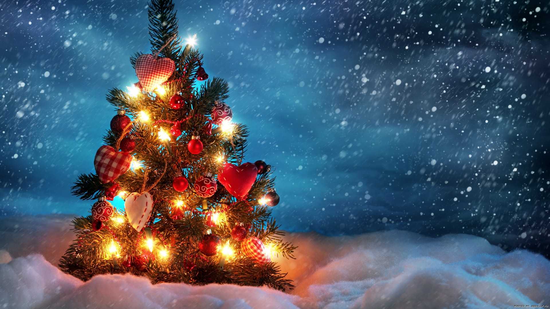 Приметы на Новый год 2021: как встречать Белого Металлического Быка Цвета года, стол, елка: что можно, а что нельзя делать в эту новогоднюю ночь Самые важные поверья