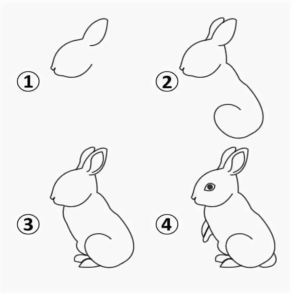 Как нарисовать кролика  поэтапно 4 урока