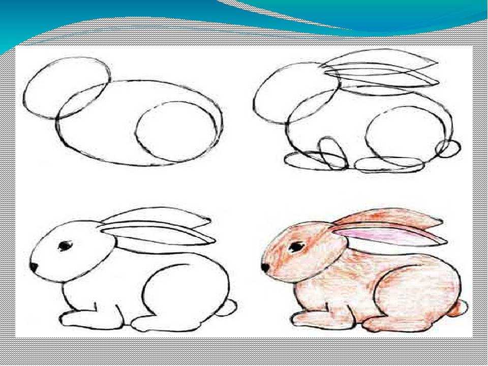 Как нарисовать зайца (100 картинок) - легкие и простые варианты для детей