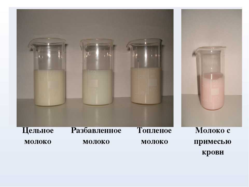 Deteccion cetosis en leche milkoscan