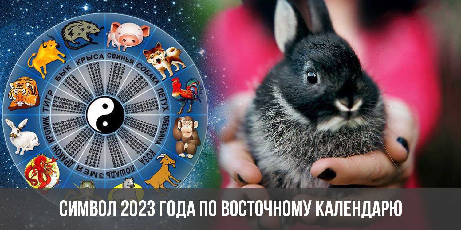 Как привлечь удачу в 2023 году : советы астрологов, выбираем талисманы и камни в год кролика