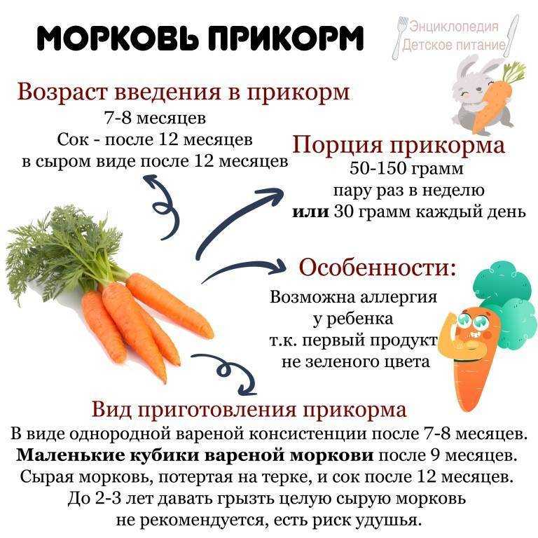 C какого возраста можно давать ребенку свеклу: когда вводить и как приготовить?