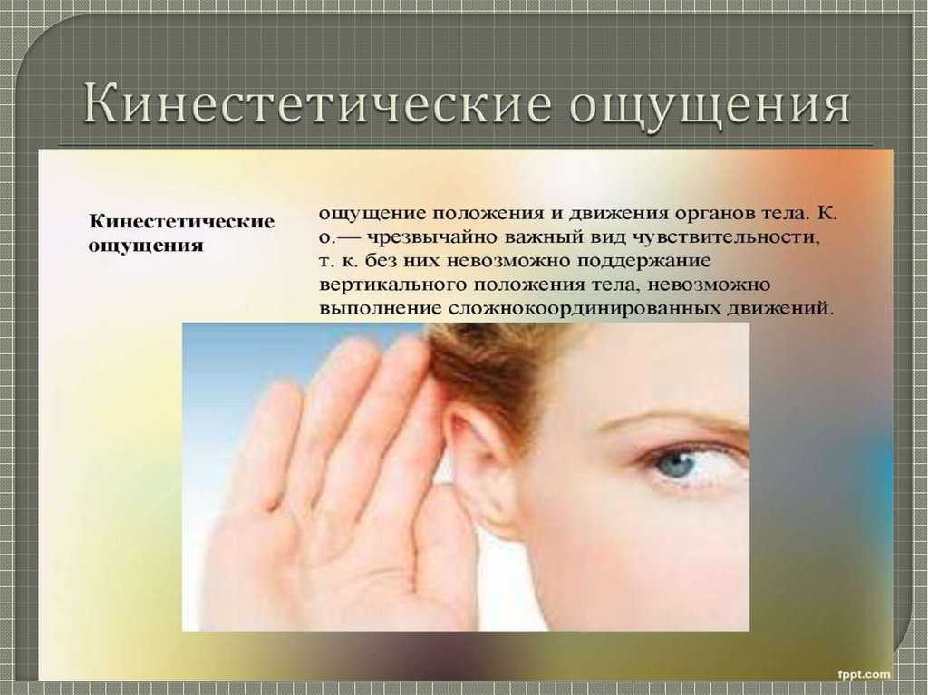 Роль модальностей восприятия в сенсорно-перцептивной организации учащегося | статья в журнале «молодой ученый»