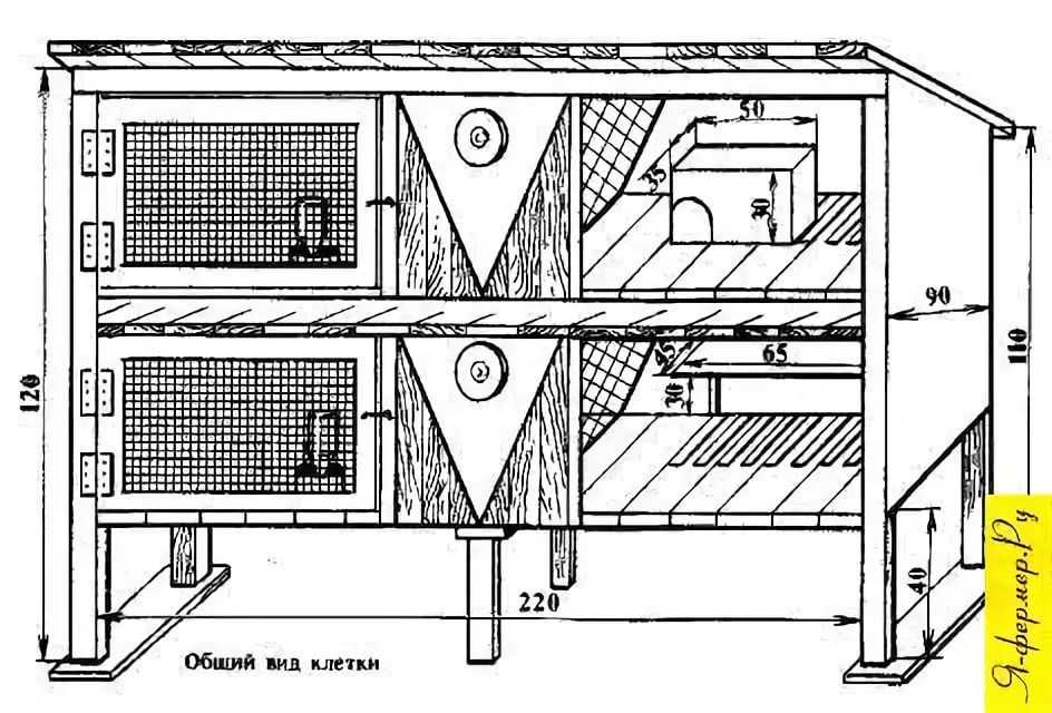 Как сделать крольчатник своими руками схема и чертежи