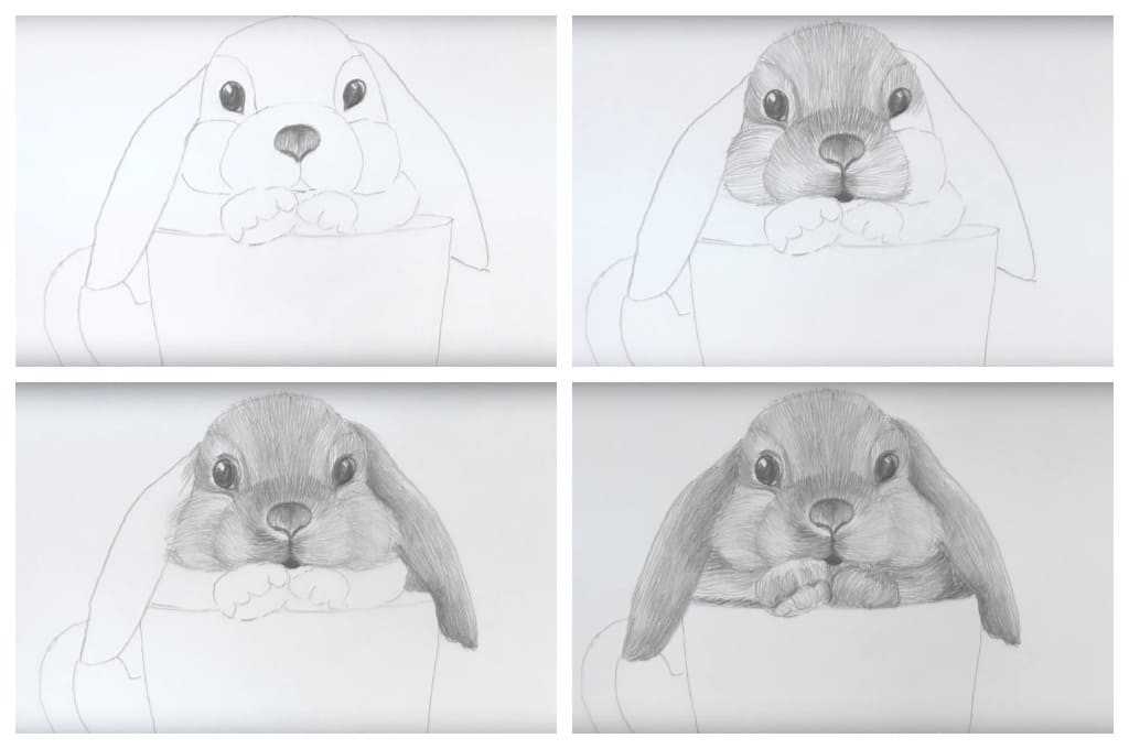Заяц рисунок для детей карандашом простой, цветной, черно-белый, раскраска поэтапно для срисовки