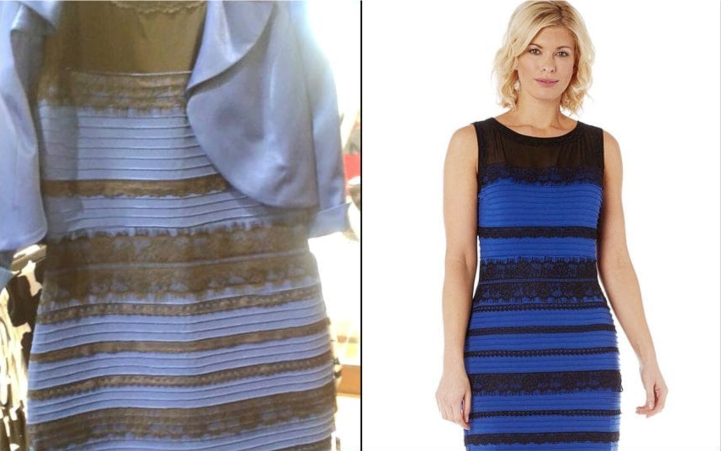 Феномен синего или белого платья: почему на знаменитом фото люди видели разные цвета | русская семёрка | дзен