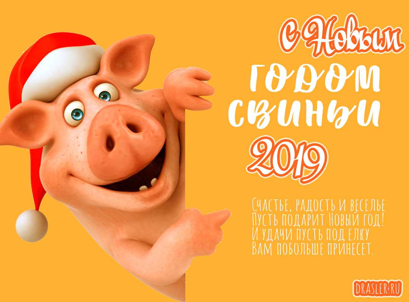 Как правильно встречать новый 2019 год свиньи