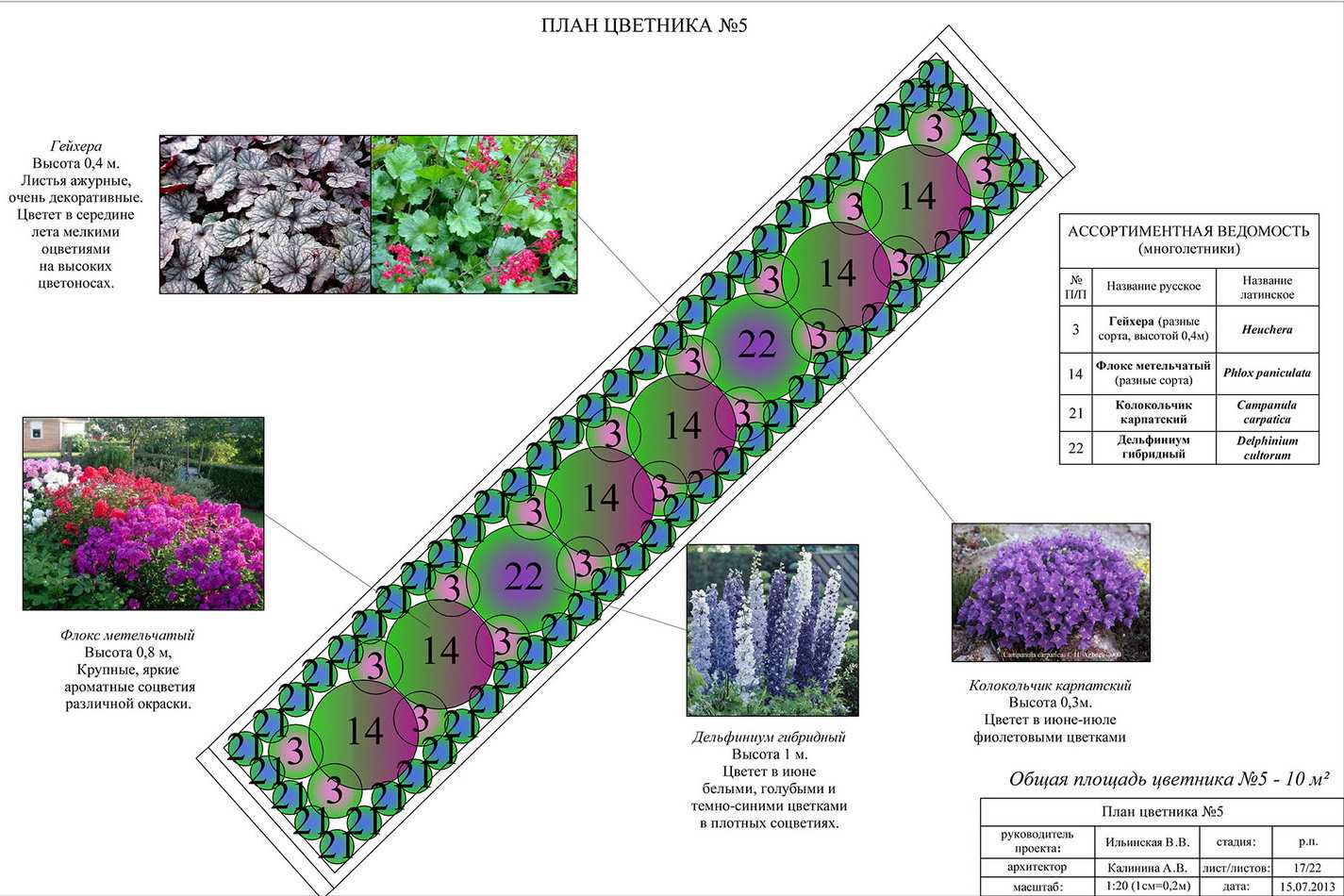 Цветник многолетники схемы