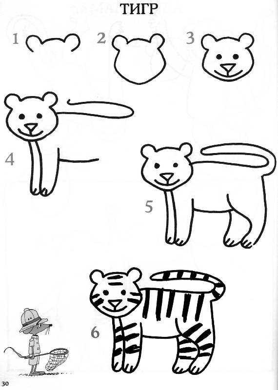 Как нарисовать тигра карандашом поэтапно для начинающих