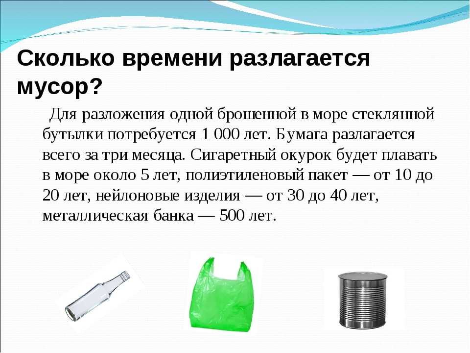 Сколько лет разлагается мусор: бутылки, банки и другой мусор
