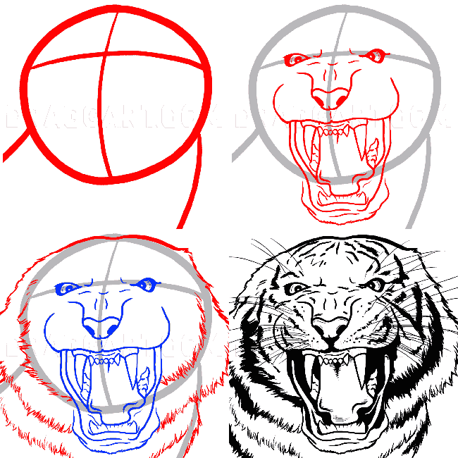 Как нарисовать тигра (55 способов)