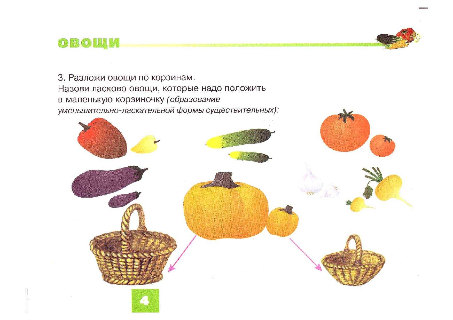 Дидактический материал по теме «фрукты» 5-7 лет - plandou.ru