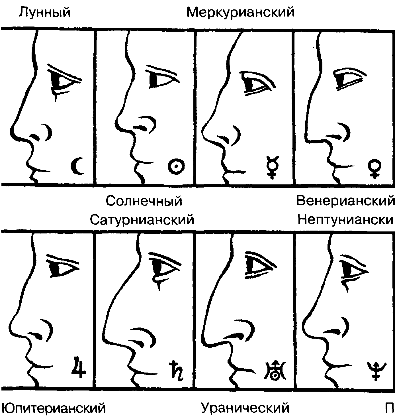 Форма носа и характер человека: виды у девушек и мужчин