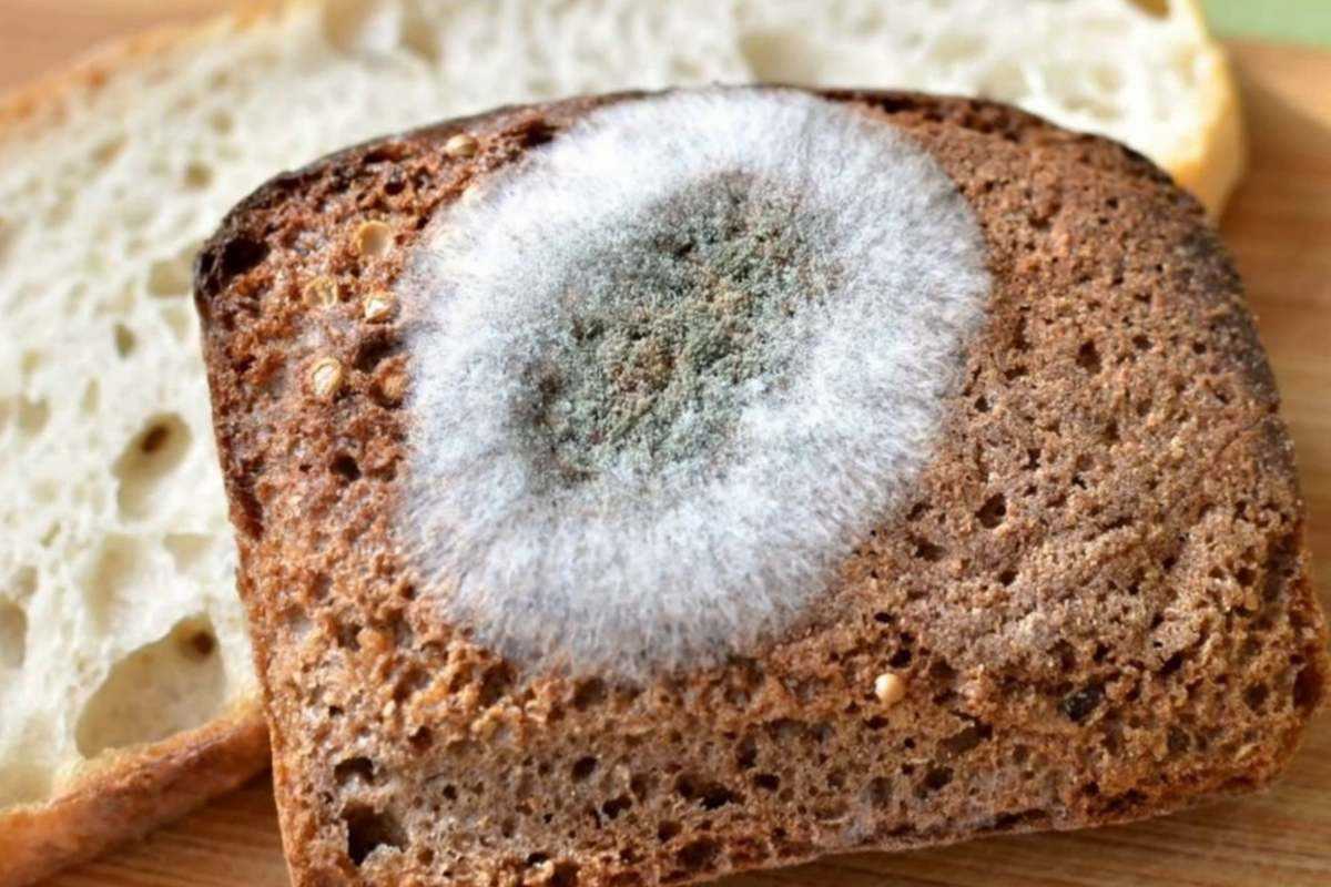 Отказ от белого хлеба: 🍔 что произойдет с вашим организмом?